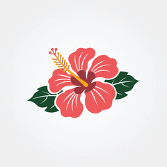 Red hibiscus flower with green leaves on white background