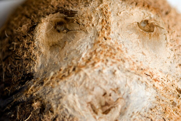 close up of coconut shell 
