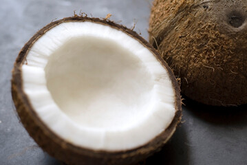 coconut on a white background