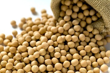 white beans in a sack