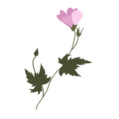 Simple Pink Wildflower Illustration