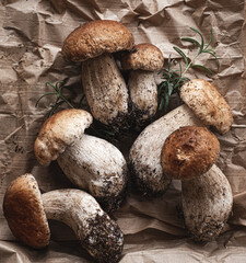 Porcini mushrooms or Boletus edulis  on the natural paper background. Forest organic food, white noble mushrooms