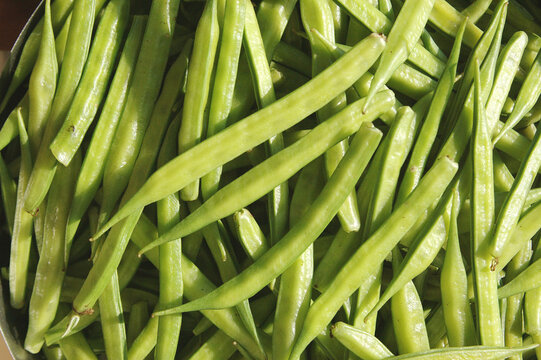 close up of green beans