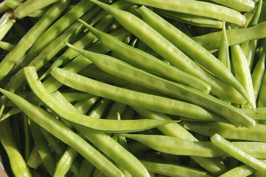 fresh green beans