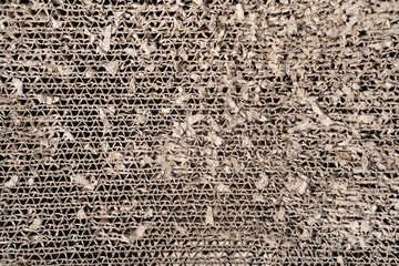 close up of  texture cat scratcher cardboard brown paper.