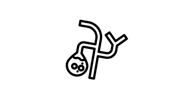 gallbladder animated icon