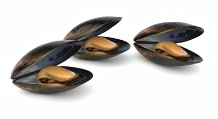Three Freshly Opened Mussels with Cooked Meat Isolated on White Background