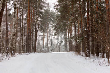 A snow covered road with trees in the background