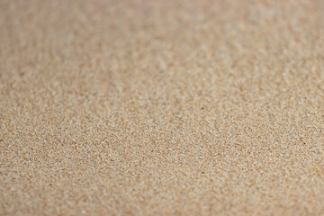 A sandy beach with a tan background