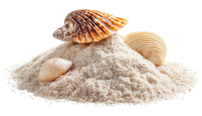 Seashells atop a mound of sand