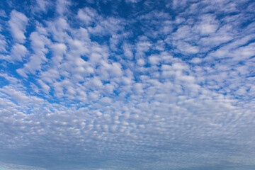 Blue Sky with Altocumulus Cloud Pattern