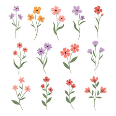A collection of delicate wildflowers in various pastel colors with green stems and leaves.
