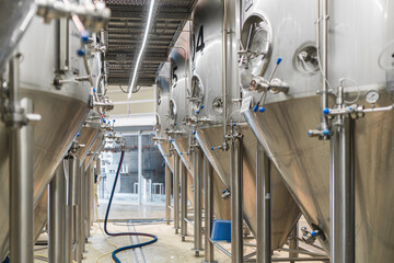 Rows of shining stainless steel fermentation tanks in a modern craft beer brewery, processing and brewing alcoholic beverage