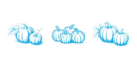 Pumpkins Set Blue Color on White Background Vector Illustration Design Autumn Harvest