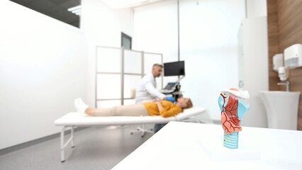 Doctor making ultrasonography to female patient at ultrasound office of medical clinic with anatomical model of thyroid in table. Ultrasound diagnostics of thyroid gland