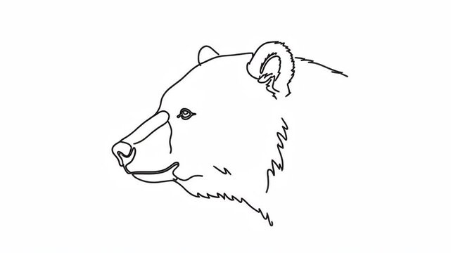 Minimalist Line Art Illustration of a Melursus Ursinus Head Profile, Capturing Distinctive Features and Anatomy with Clean, Modern Aesthetic