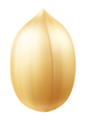 Peanuts isolated on white background. For packaging with peanut butter, a mixture of nuts. Vegetable protein for vegetarians, a healthy product. Realistic vector 3D illustration.