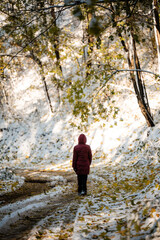 Obraz premium Person walking snowy path during late autumn