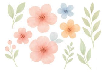 Watercolor floral arrangement with delicate pastel flowers, leaves, and berries, transparent background, botanical illustration