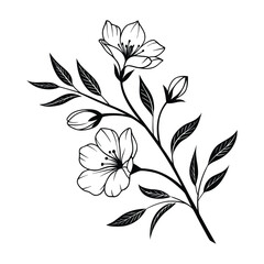 Serenity Blossoms Within Simple Strokes