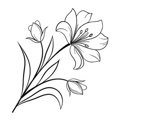 Whispering Blooms in Minimal Form
