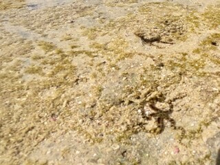 Schnorcheln in Ägypten