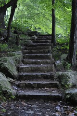 Stone steps ascend through a shady forest