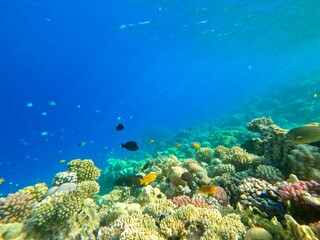 Schnorcheln in Ägypten