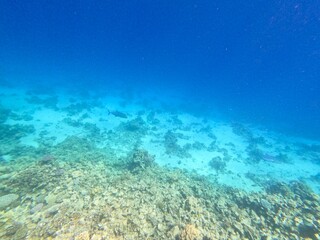 Schnorcheln in Ägypten