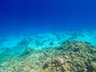 Schnorcheln in Ägypten