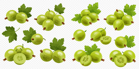 Illustration of gooseberries with leaves on a transparent background.
