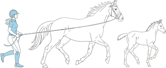 Woman in riding gear leads a horse and foal across a white background