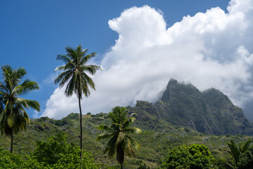 Mount Temetiu near Atuona, Hiva Oa, French Polynesia, Marquesas Islands