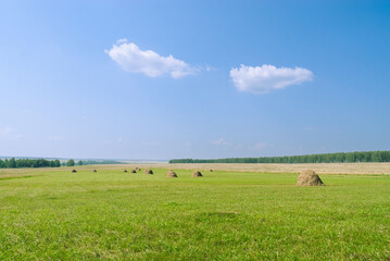 Scenic rural landscape with green grass field and haystacks under bright blue sky with two fluffy white clouds. Peaceful countryside summer scene, natural agriculture background.