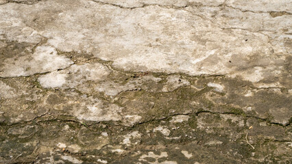 Obraz premium Texture of uncleaned concrete outdoor floor with cracks-3