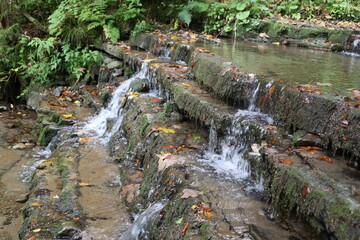 Mountain forest stream with mossy cascades