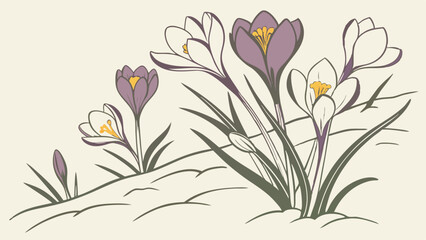 Stylized Crocus Flowers Blooming in Early Spring Snow Illustration for Seasonal Marketing Web Design Nature Themes and Fresh Beginnings
