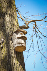 a charming birdhouse crafted from a tree trunk. A nesting box attached to a tree. For nature-themed decor, eco-friendly projects, or as inspiration for garden art