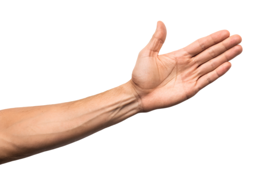 A human arm and open hand extend forward, palm facing up, in a gesture of presentation or receiving, transparent background png isolated. - Powered by Adobe