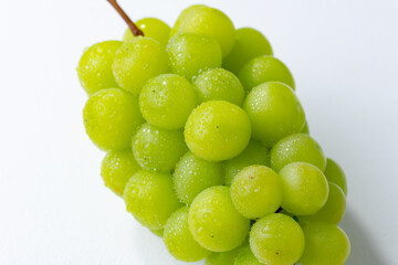 シャインマスカット