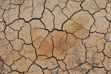 severe drought cracks the parched earth surface. arid desert soil fractures under intense heat