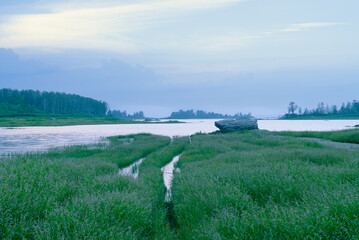 A cloudy evening over a calm lake with a grassy, overgrown shoreline. An old, vegetation-covered...