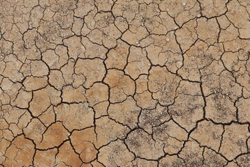 severe drought cracks the parched earth surface. arid desert soil fractures under intense heat