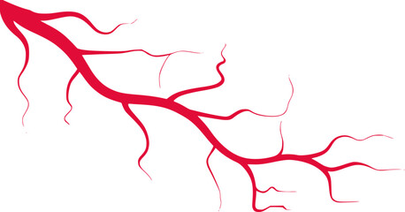 Abstract Red Vein or Artery Network on White Background