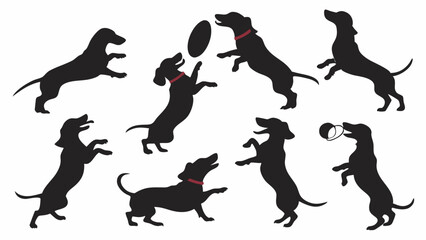 Black Dachshund Dog Silhouettes Playing Jumping Catching Frisbee Ball Energetic Pet Care Animal Training Veterinary Marketing Graphics