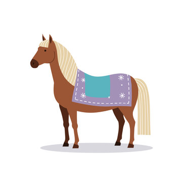 Horse wearing a winter blanket standing on a white background  