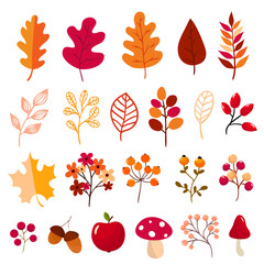 Autumn elements collection Vector 