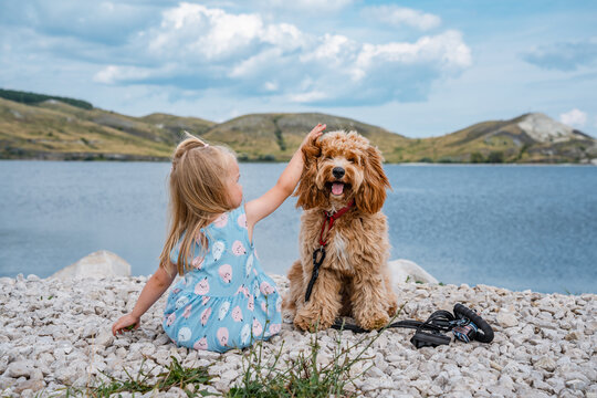 Little child girl sits on the shore with Curly brown goldendoodle dog of breed Cavapoo and admire the water and hills in summer
