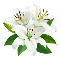 Fototapeta premium A bouquet of white lilies, featuring detailed petals, green leaves, and yellow stamens