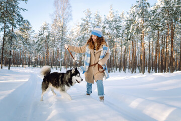 A beautiful woman and her husky are having fun in a snowy forest. A happy woman and her pet are spending time together, enjoying a sunny winter day. Concept of friendship, fun, and weekends.